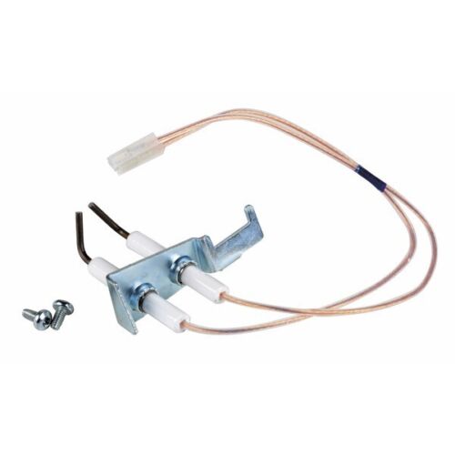 elettrodo doppio con viti