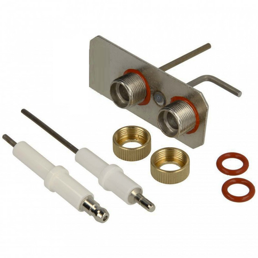 Gruppo elettrodi grigi per caldaia Ferroli