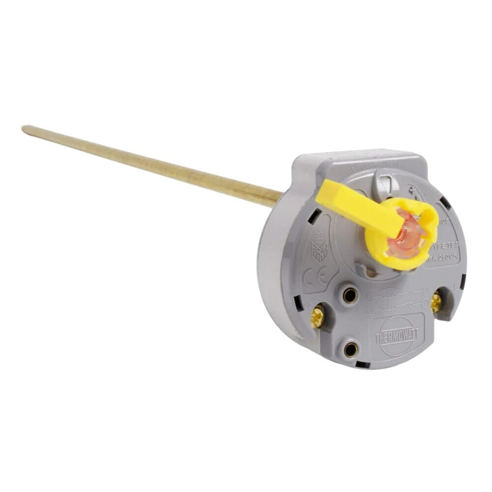 termostato elettronico thermowatt 205 V