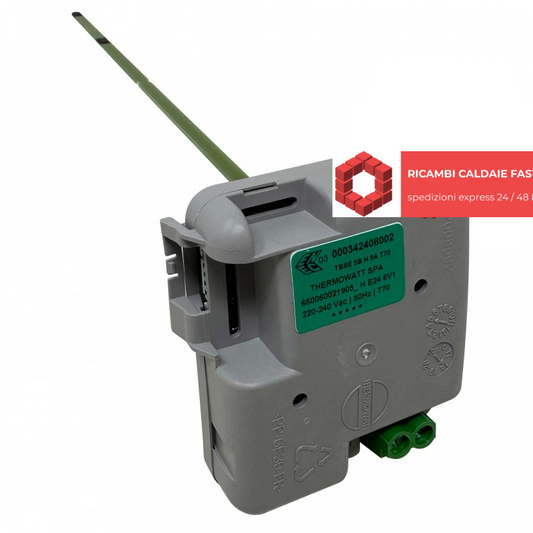 Termostato grigio  000342408002  con asta THERMOWATT SPA