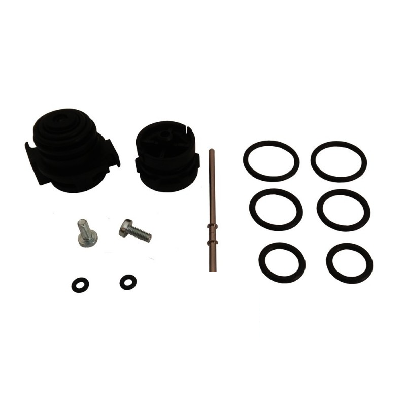 kit revisione con viti guarnizioni e perno