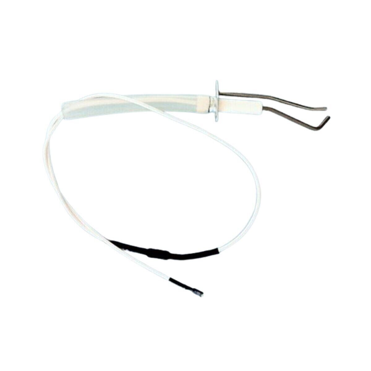 elettrodo bianco