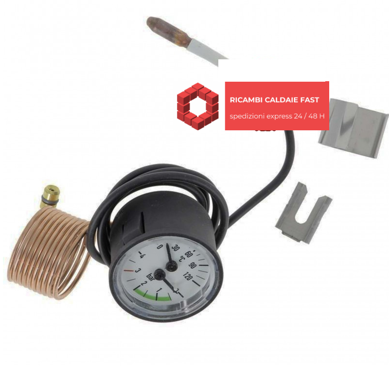 Termoidrometro Vaillant 0-120 ° 0-4 bar 101270