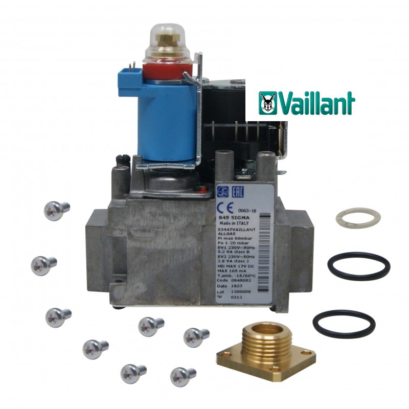valvola gas con viti e guarnizioni