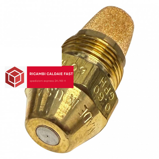 Ugello Delavan 0,60/60W originale Riello 3042038