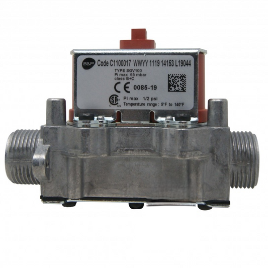 Valvola gas B&P SGV100 c1100017 wmyy 1119 14153 L19044 per caldaia Bongioanni 